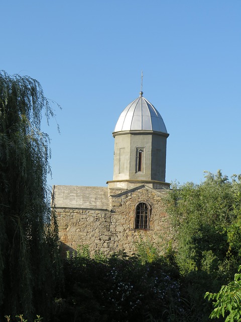Free Krum Willow photo and picture
