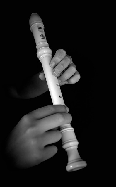 the flute, melody, music, block flute, hands, musician, musical instruments, to compose music, notes, wind instruments, close-up