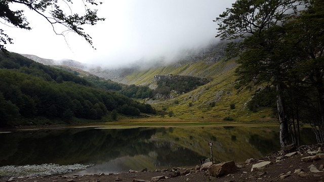 Free Nature Lake photo and picture