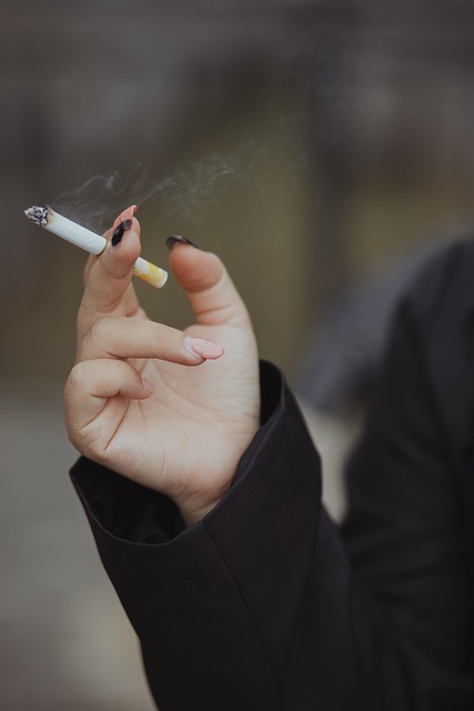 Free Smoke Cigarette photo and picture