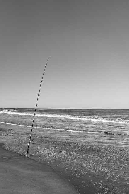 Strand, Angeln, Stange, Meer, Ozean