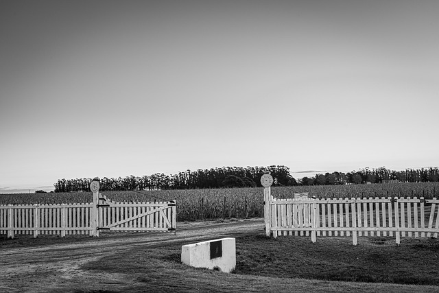 Tor, Feld, Landwirtschaft, Landschaft