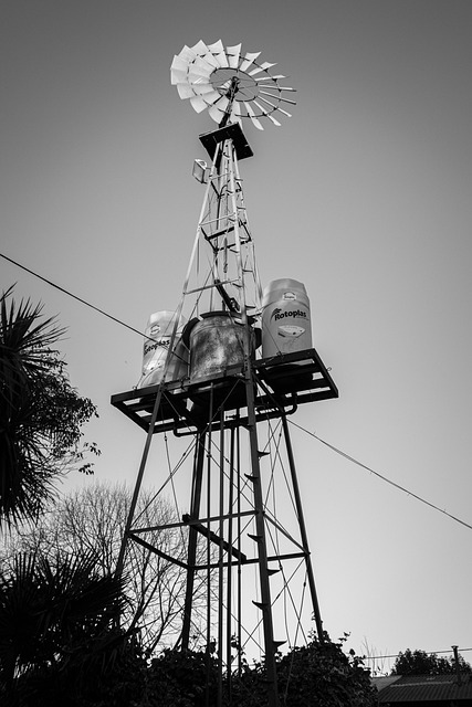 Windmühle, Feld, Schwarz Und Weiß