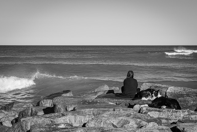 Frau, Hund, Strand, Draußen, Paradies