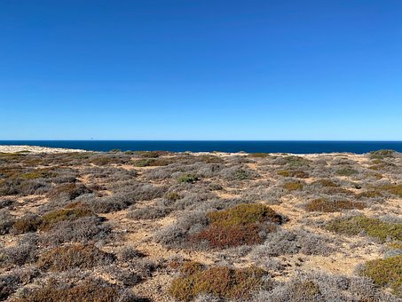 Free Desert Sea photo and picture