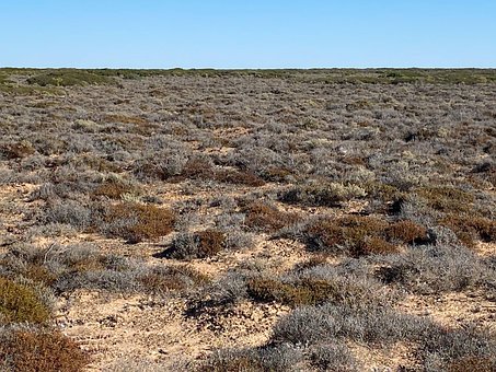 Free Desert Arid photo and picture