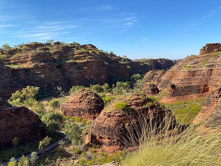 Free Wilderness Baby Bungles photo and picture