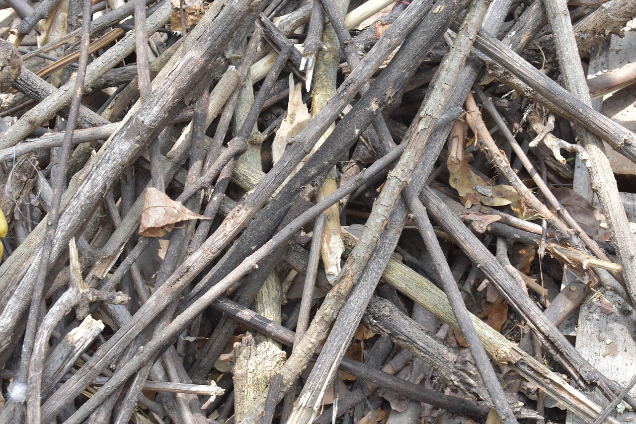 Tree Rods Natural Wood Branches Rods - Free photo on Pixabay - Pixabay