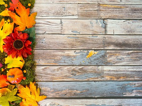 Free Fall Autumn illustration and picture