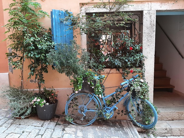 Gade, Cykel, Plante, Trappe