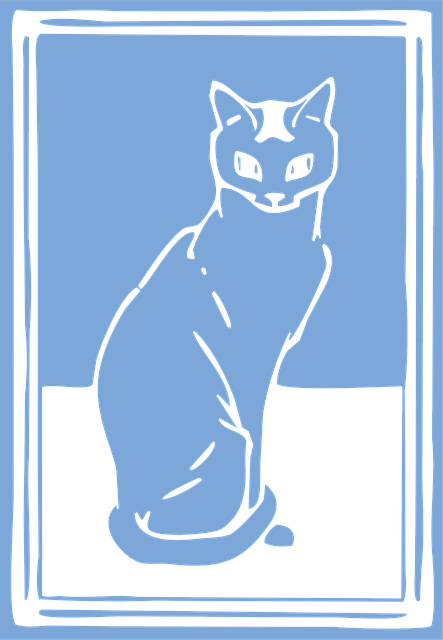 Katze, Haustier, Katzenartig, Tier
