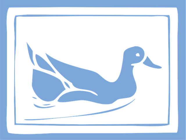 Free duck waterfowl waterbird vector
