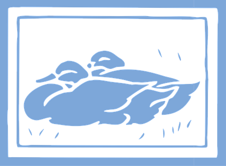 Enten, Wasservögel, Vögel, Tiere