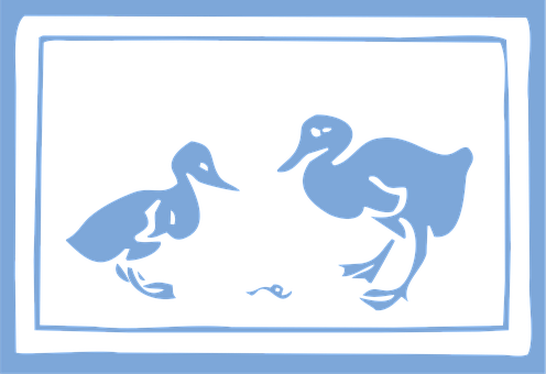 Enten, Wasservögel, Vögel, Tiere