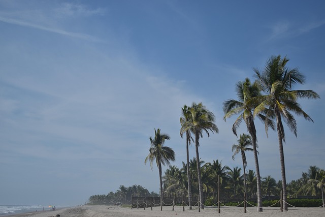 Free Beach Sea photo and picture