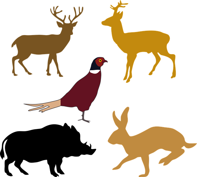 Free animals wildlife bird vector