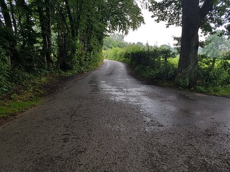 Ardenas, Bélgica, Avenida, Rua, Árvores