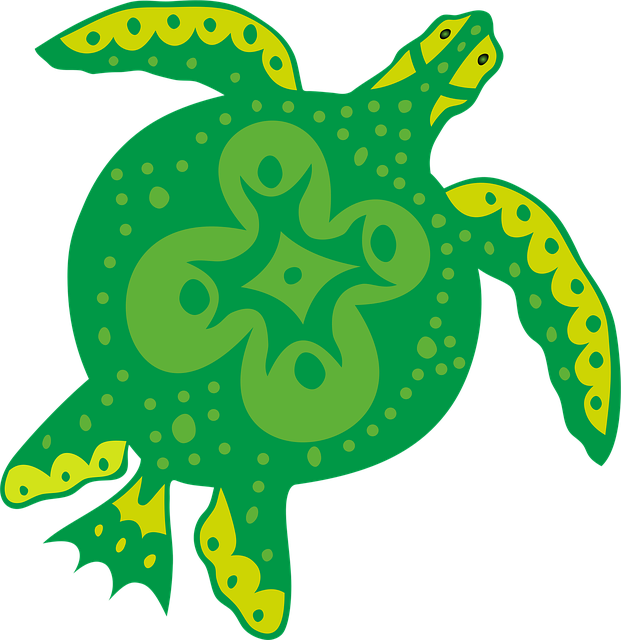 Free turtle animal nature illustration
