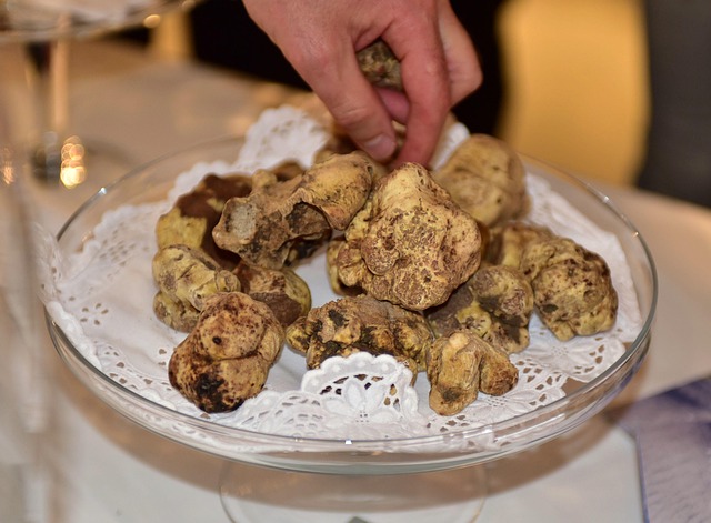 Trufa Blanca, Trufa Alba, Gourmet