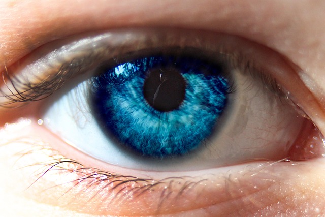 Free Blue Eye Iris photo and picture