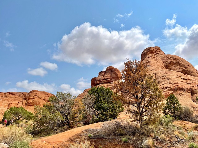 Moab, Arches National Park, Park