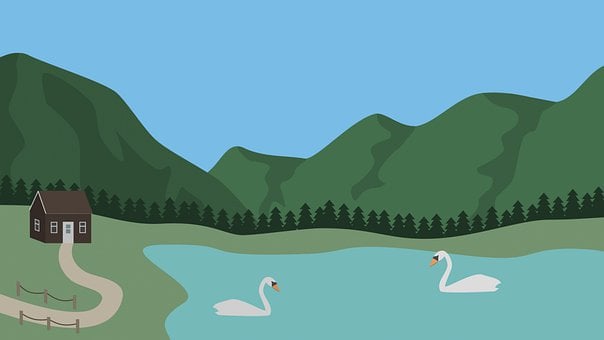Free Lake Swans illustration and picture