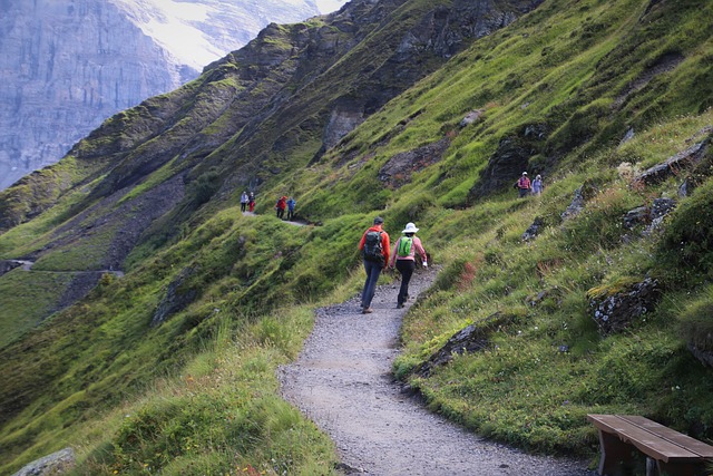Free The Path Mountains photo and picture