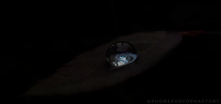 Free Drop Nature photo and picture