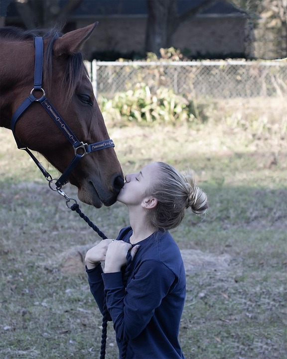 Girl And Her Horse Affection For Free photo on Pixabay Pixabay