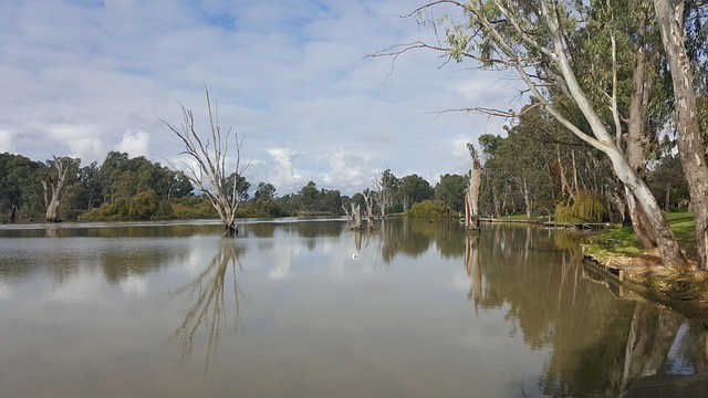 Free Lake Water photo and picture