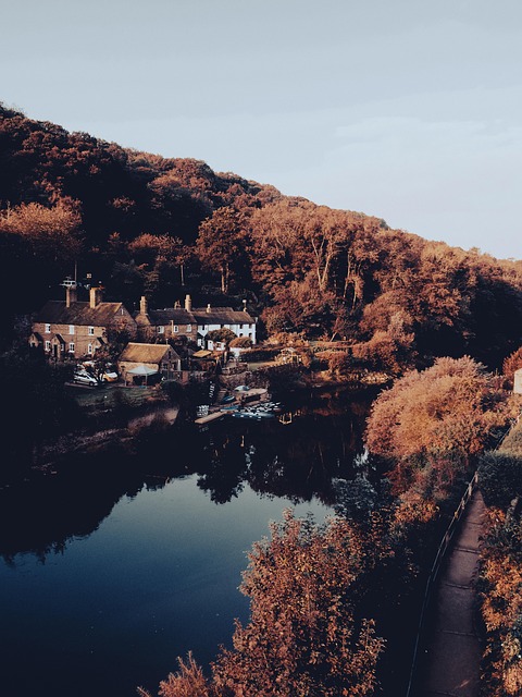 Flod, Søhus, Skov, Natur, Landskab
