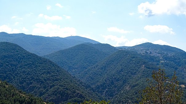 Free Orman Manzara photo and picture