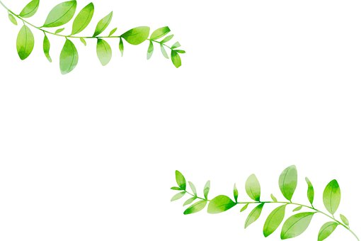 Folhas, Natureza, Decoração