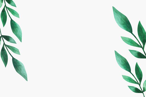 Folhas, Decoração, Arte Digital