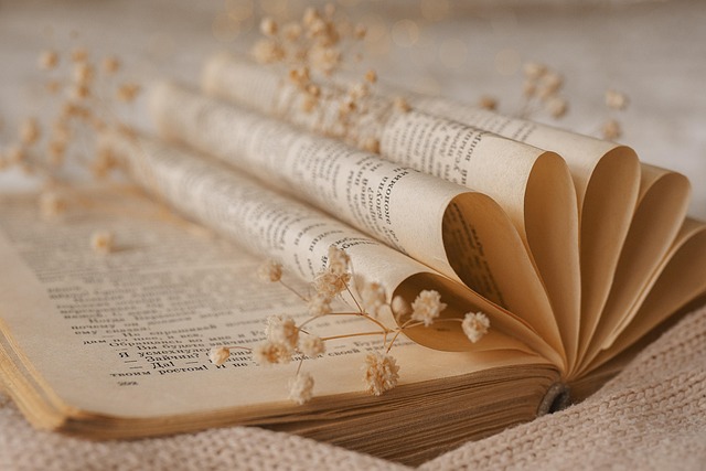 Free Book Pages photo and picture