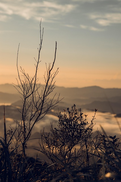 Natureza, Nascer Do Sol, Panorama