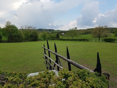 Cerca, Pasto, Grama, Ar, Verde, Bélgica