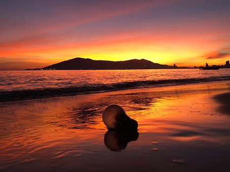 Free Beach Sunset photo and picture