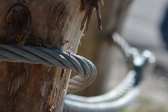Free Cable Wire photo and picture