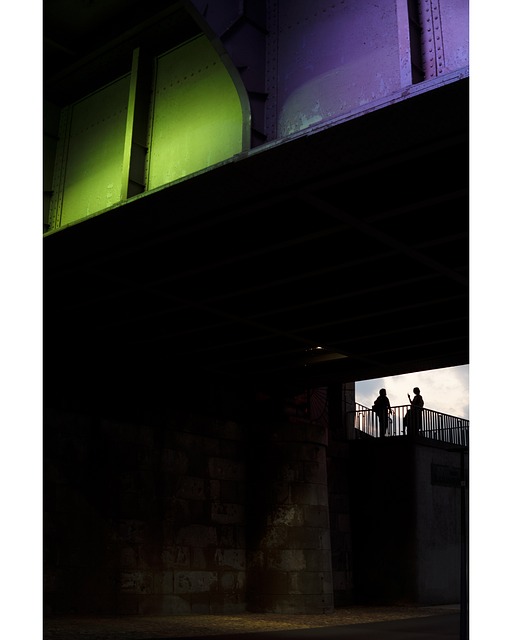 Mennesker, Sillhouette, Nat, Warszawa