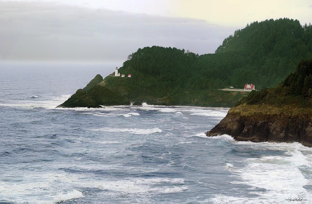 Free Lighthouse Sea photo and picture