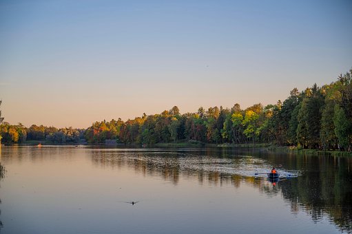 Free Lake Trees photo and picture