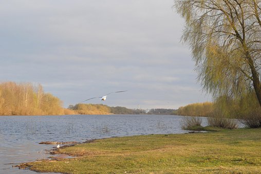 Free River Park photo and picture