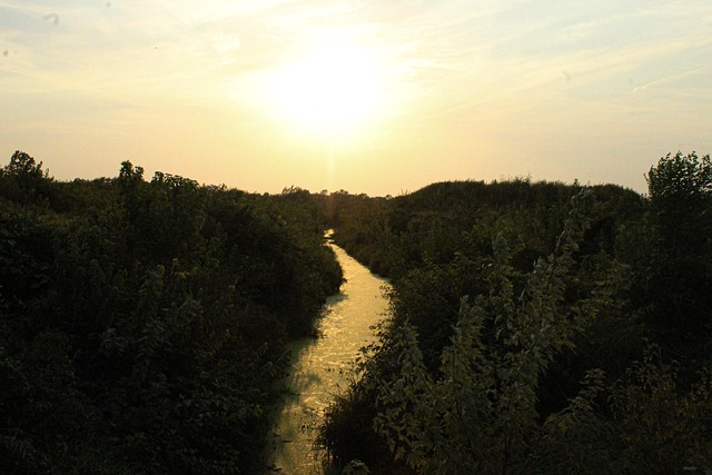 Potok, Zátoka, Landsc, Krajina, Scenérie