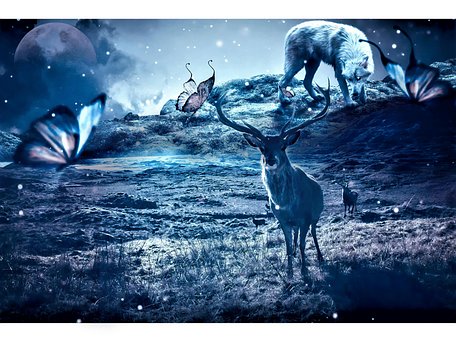 Free Background Terror photo and picture