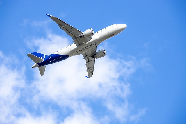 Free Airplane Flight photo and picture