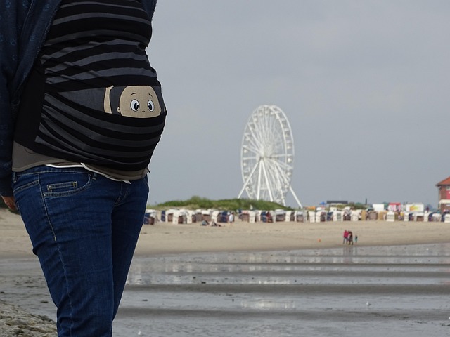 Free Ferris Wheel Hooksiel photo and picture