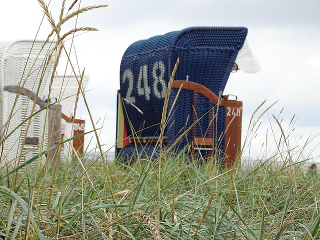 Free Sand Dunes Grass photo and picture