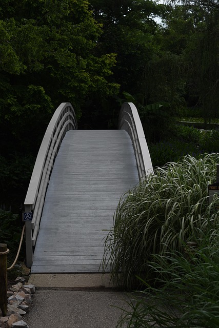 Puente, Naturaleza, Paisaje, Agua, Verde
