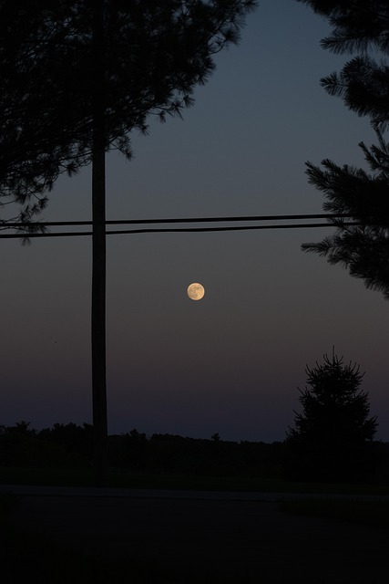Luna, Noche, Silueta, Oscuridad